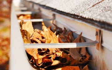 Higher Melcombe gutter cleaning companies