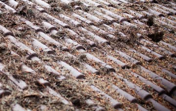 Higher Melcombe roof cleaning companies