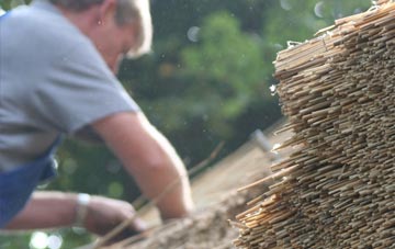 professional Higher Melcombe thatchers