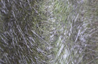 Higher Melcombe fibreglass roof work